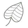 67484d781bcbd8c78b4deb77 Frame201.svg