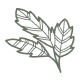 67486af56641d9df2c766192 Frame203.svg
