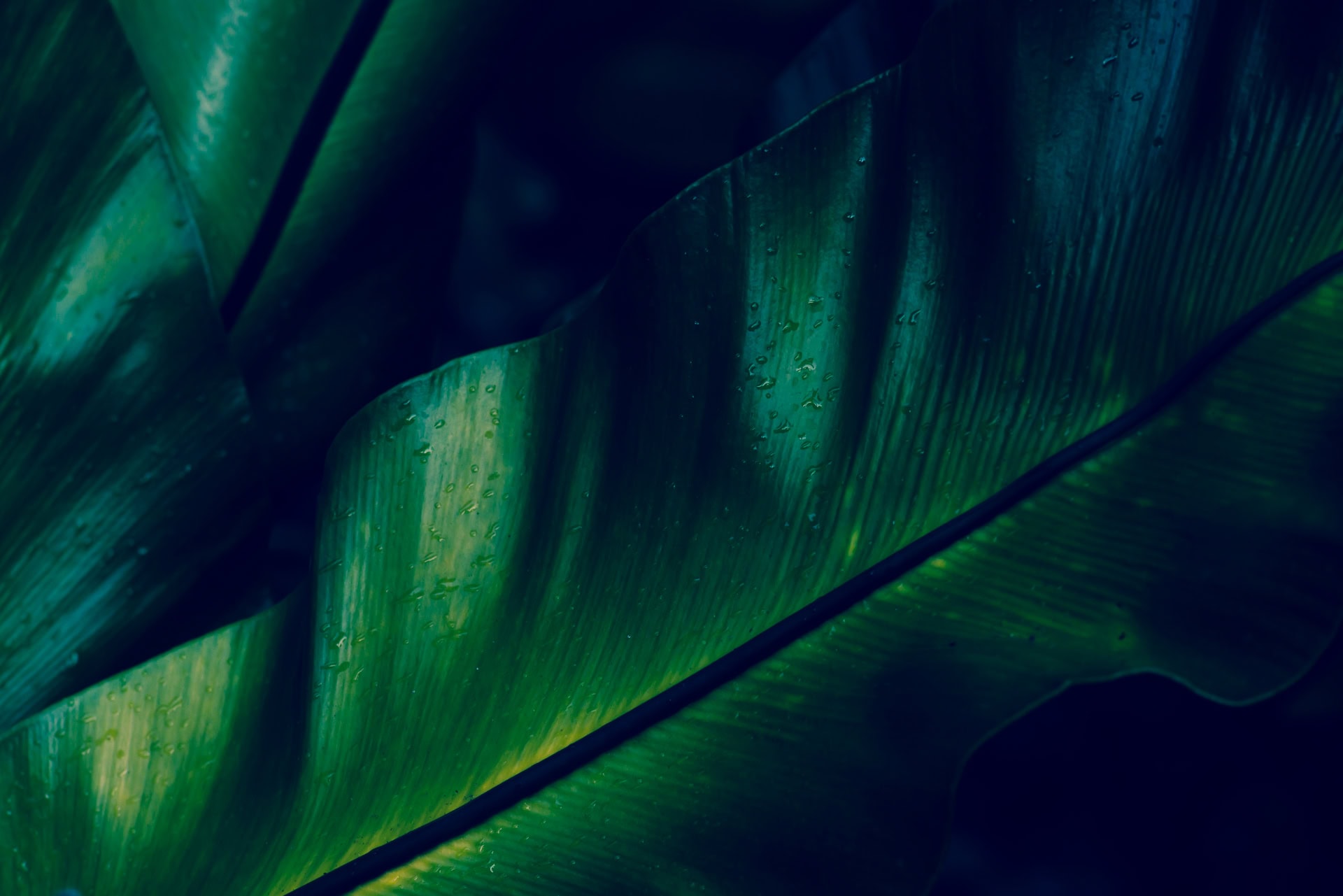 istock 452678795 20250215043811 lr4e2